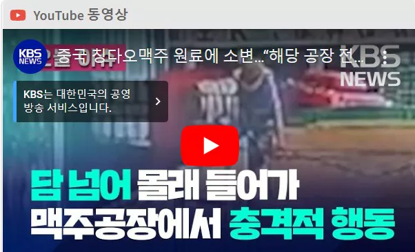 칭다오 맥주 소변