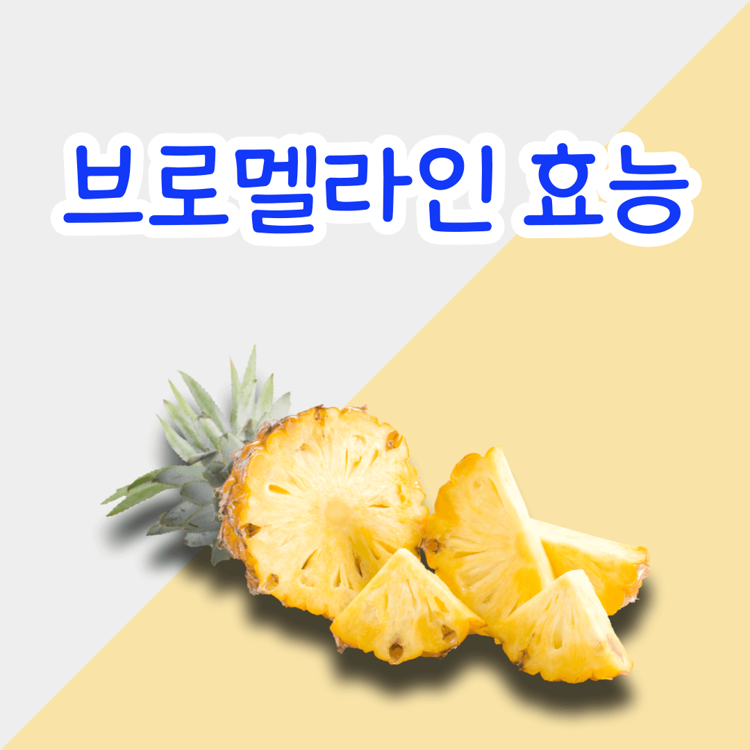 파인애플 성분 브로멜라인 효능