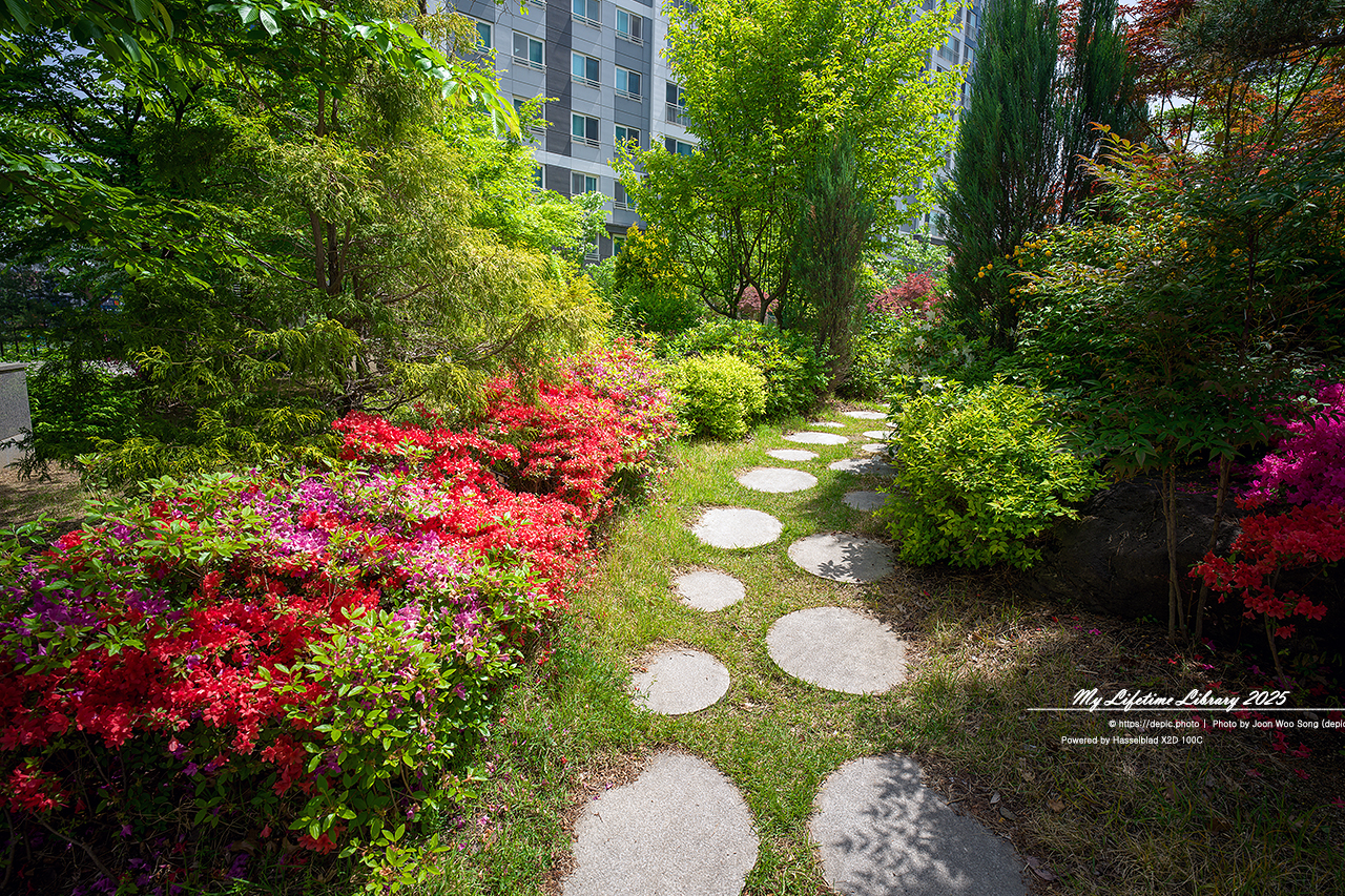 #아파트 #정원 #오창 #오창대성베르힐