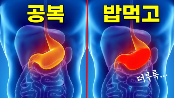 영양제 먹는 시간, 복용시간, 복용방법