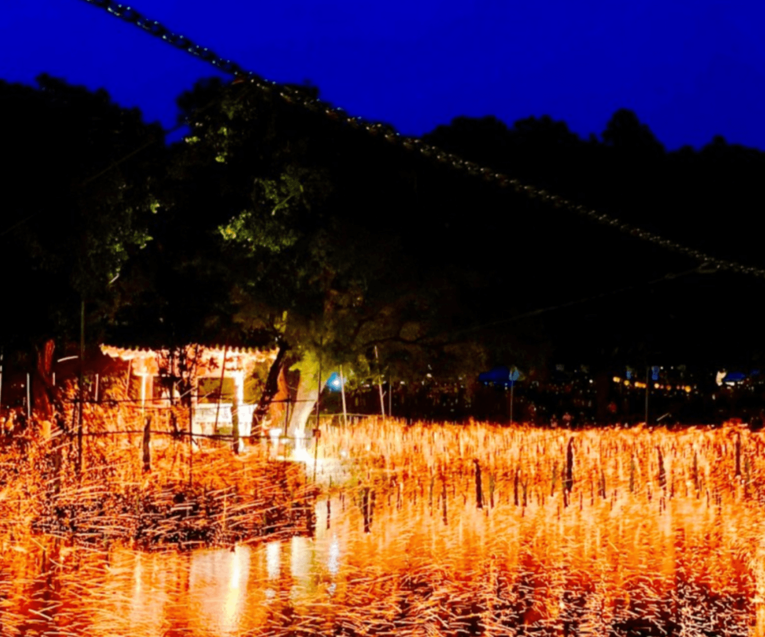 함안 낙화놀이 예약 일정 주차 최신정보