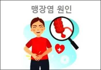 맹장염 원인 맹장염이 생기는 이유