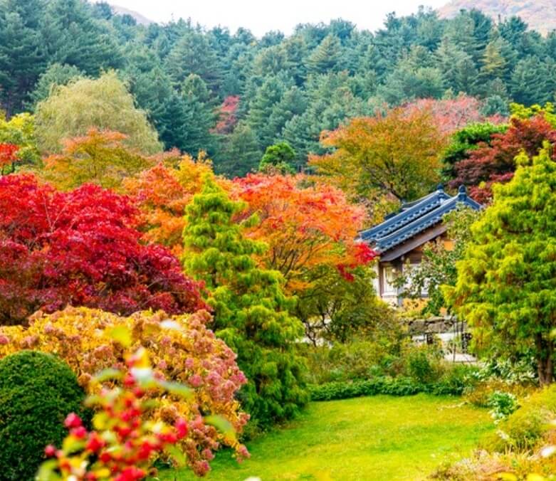 가을 단풍 명소 여행 추천