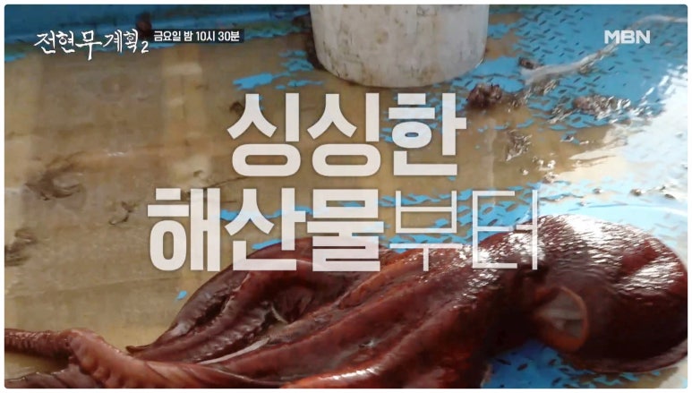 전현무계획2 강릉