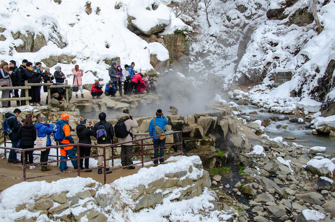 일본 도호쿠 교통 팁 관련 사진