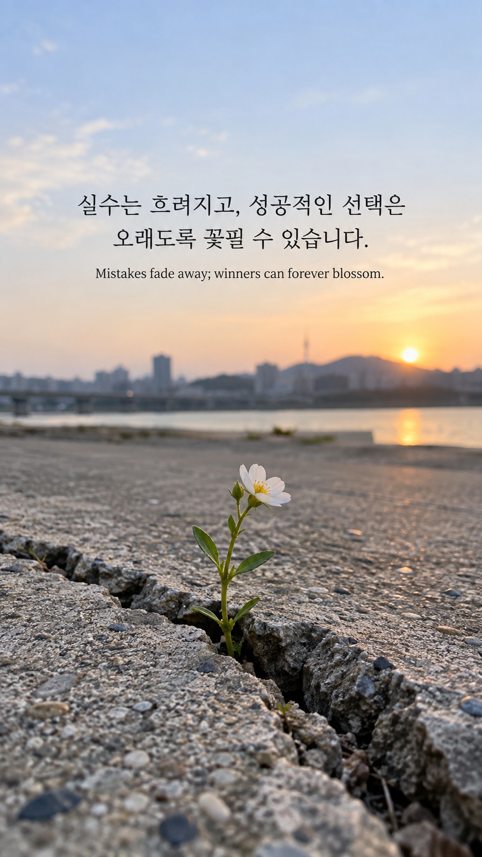 갈라진 콘크리트 사이에서 자라는 작은 꽃에 좋은 선택이 자라는 시간에 관한 워렌 버핏 명언이 적힌 이미지