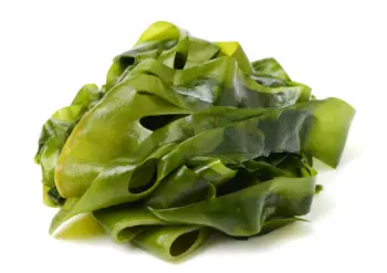 뼈에 좋은 음식 best 10