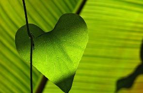 엑셀뷰어 다운로드 심플 xls xlsx 파일 열기