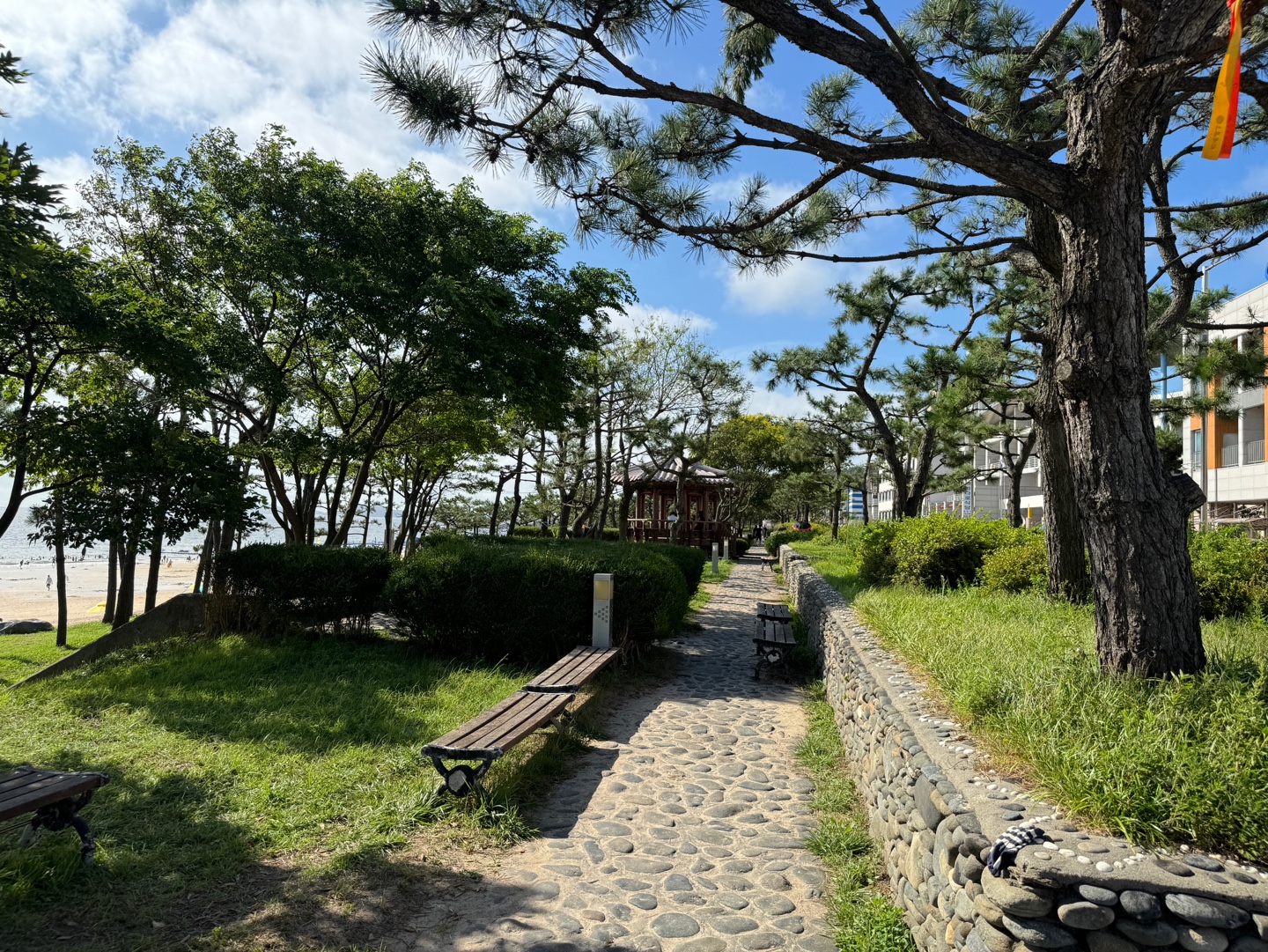 대천해수욕장