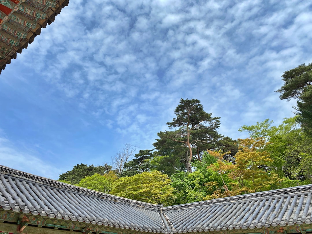 Gyeongsangbuk-do