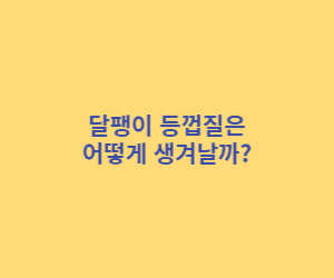 달팽이 등껍질 생성과 성장