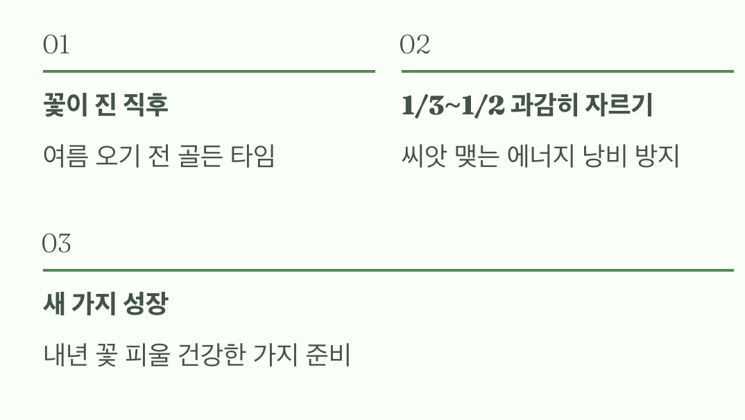 '가지치기'를 두려워 마세요!