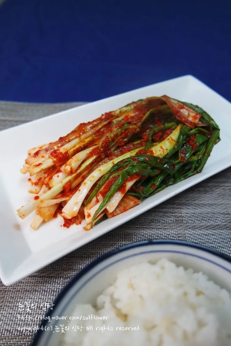 파김치 맛있게 담그는법 황금레시피 꿀팁_5