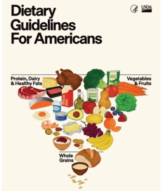 2025-2030 미국 신(新) 식단 피라미드 분석