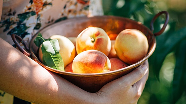 에스트로겐이 많은 음식