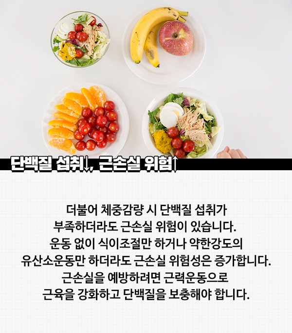 50대 이후 근육 손실을 막는 식사 구성의 핵심 원칙