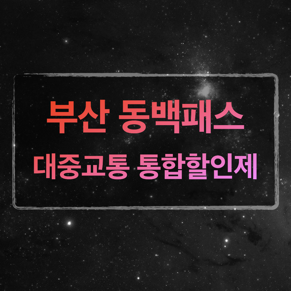 동백패스