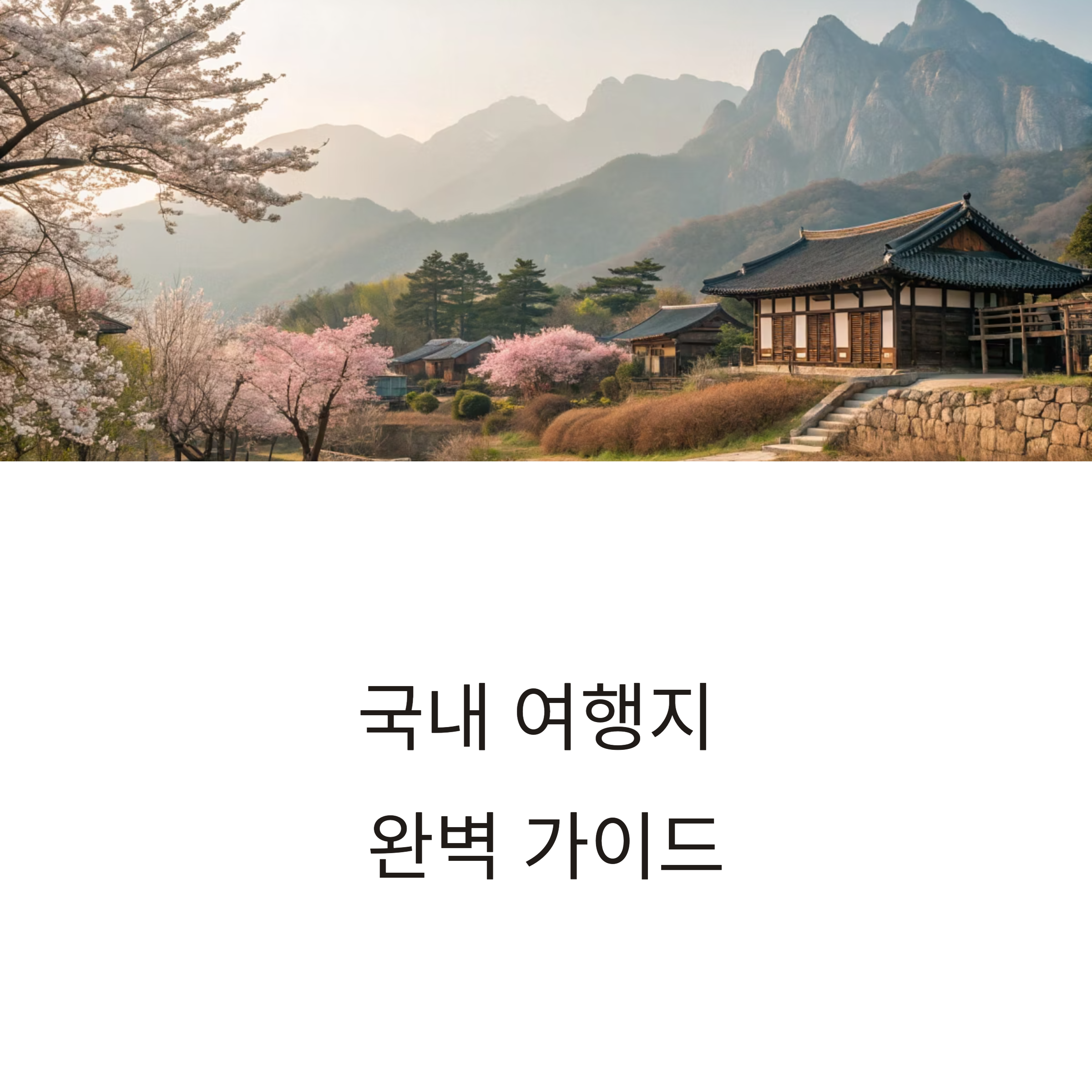 국내 여행지 완벽 가이드