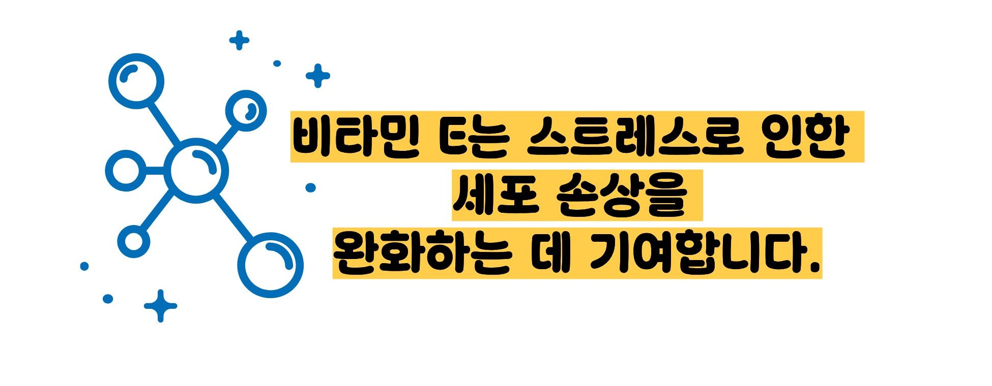 비타민e의 효능