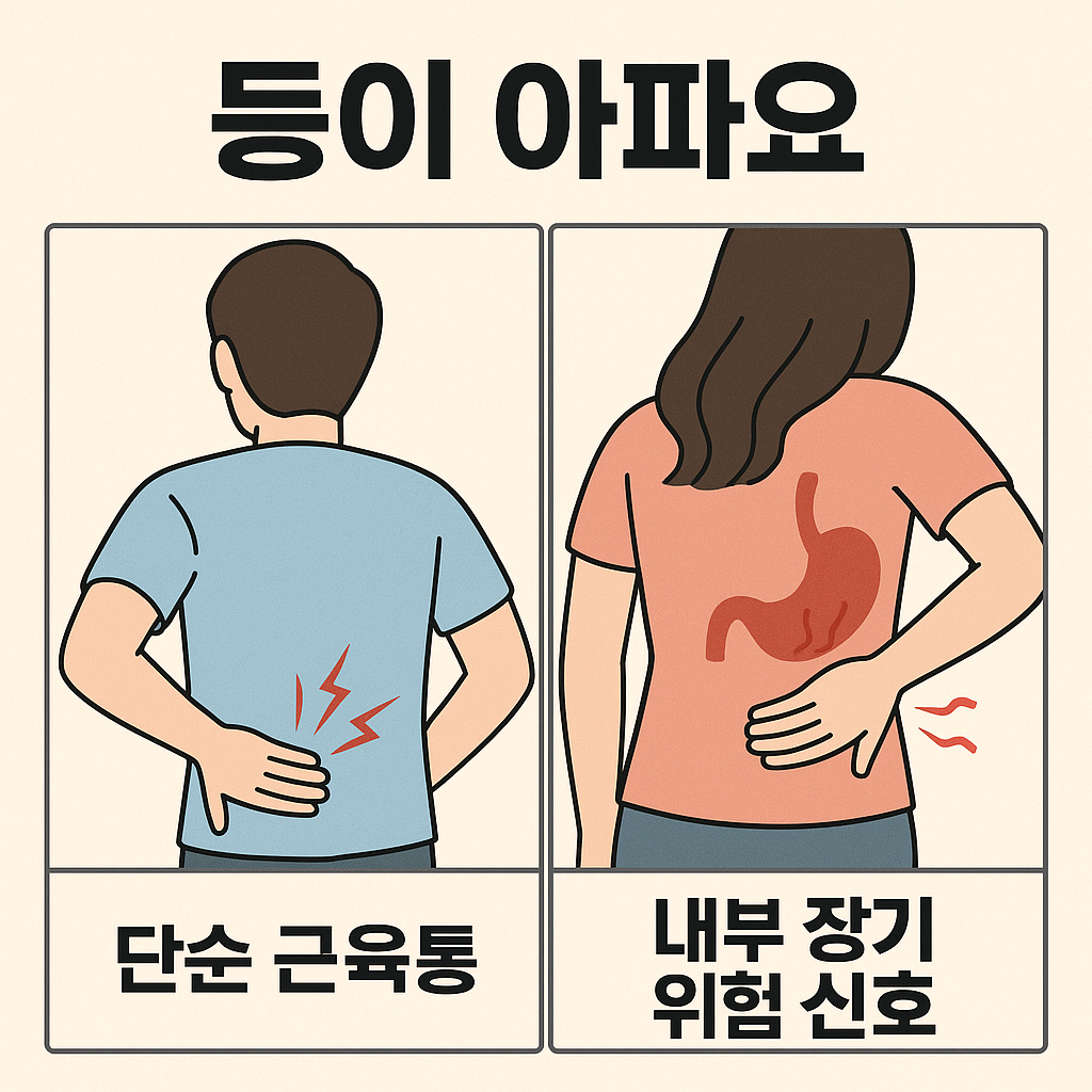 등통증 구분하는 법