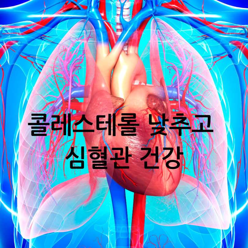 청국장의 놀라운 효능과 항암 효과