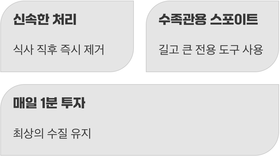 남은 잔여물&amp;#44; 스포이트로 즉시 제거