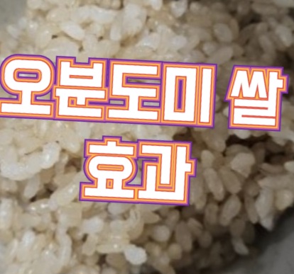 오분도미-뜻-오분도미쌀-효능
