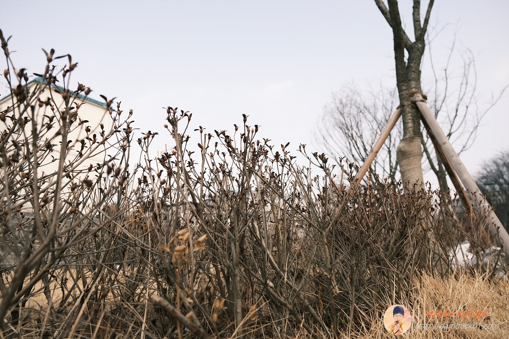 아직은 추운 날씨