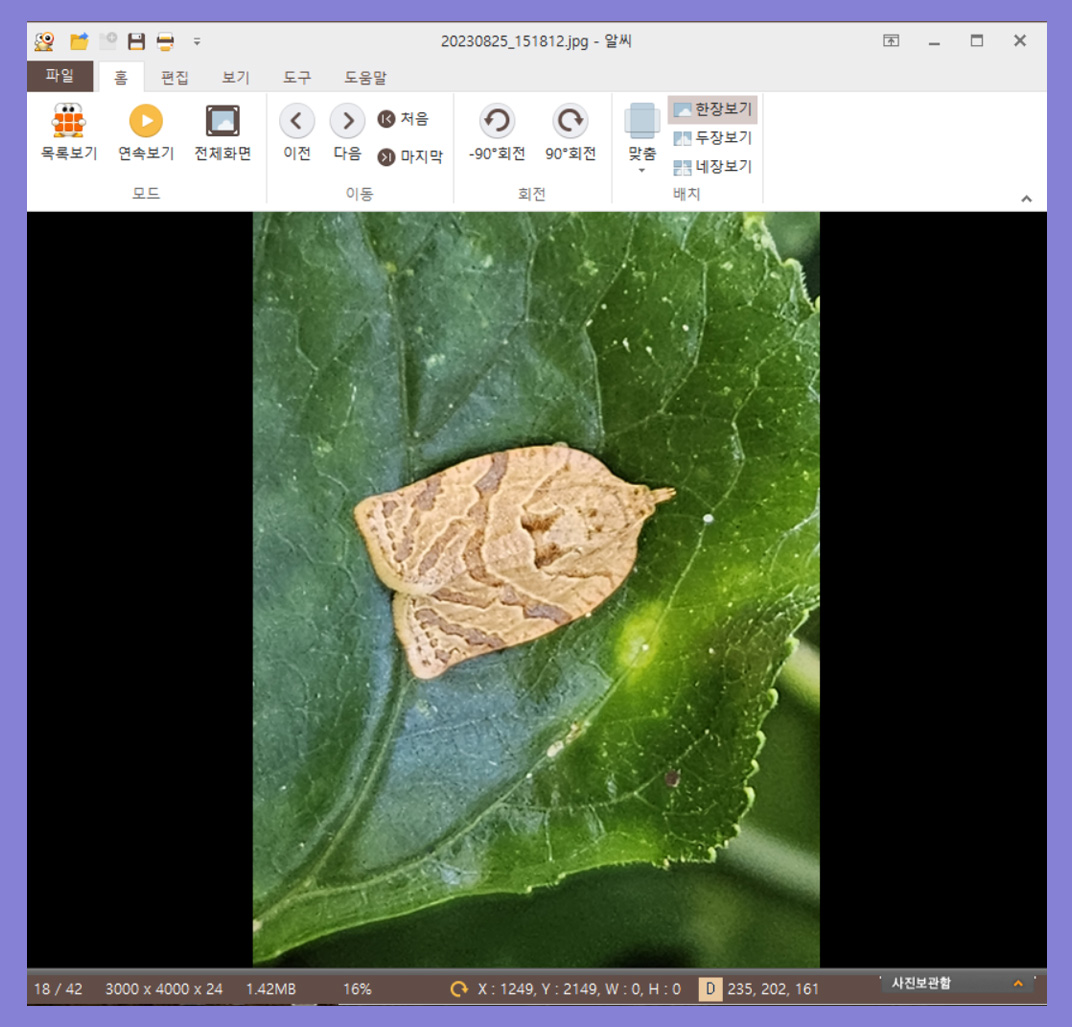 image-4