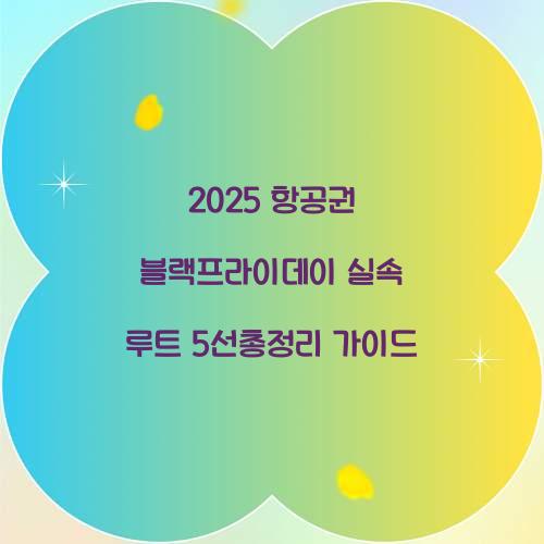 2025 항공권 블랙프라이데이