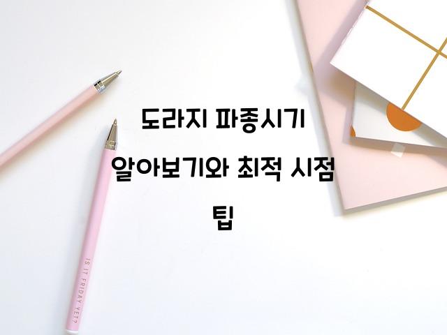 도라지 파종시기