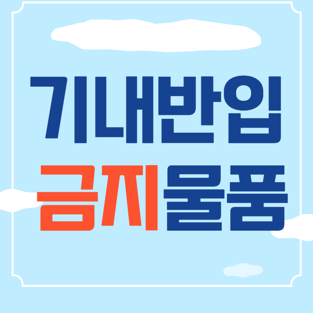 국내선 기내 반입 금지 물품 알아보기