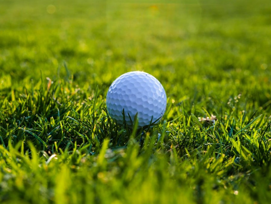 VIP 골프장 연회비 얼마 수도권 및 전국 프리미엄 골프장 비교 총정리