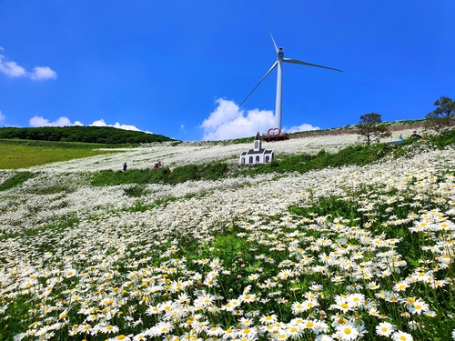 평창 가볼만한곳