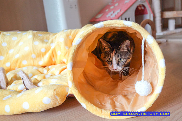 고양이터널 방울장난감