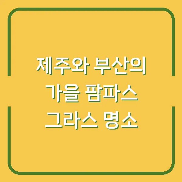 제주와 부산의 가을 팜파스 그라스 명소