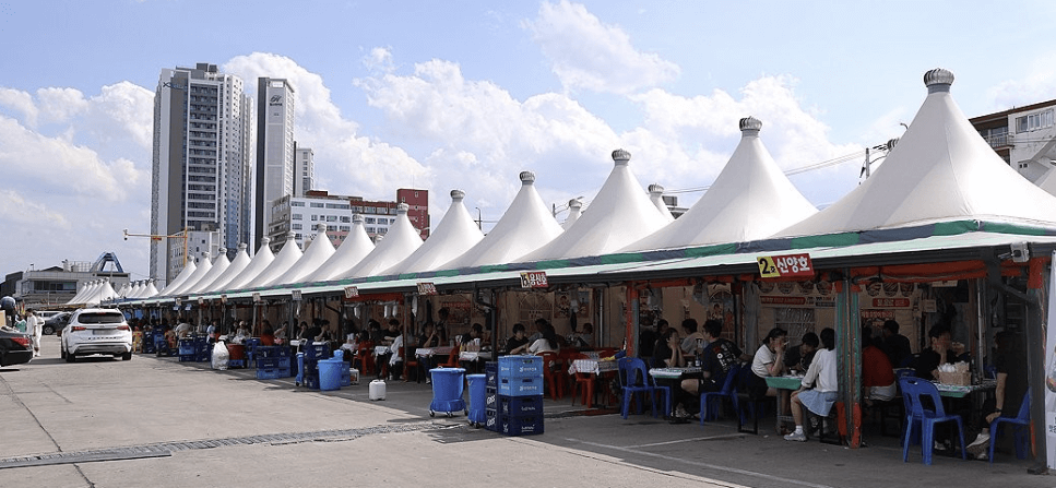 속초 오징어난전