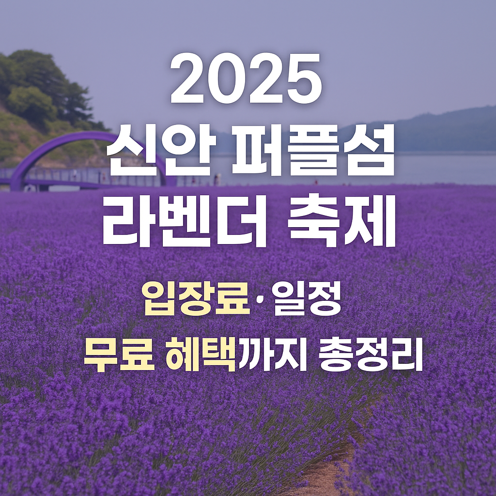 신안 퍼플섬 라벤더 축제