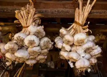 글루타치온이 많이 들어있는 음식 BEST 10