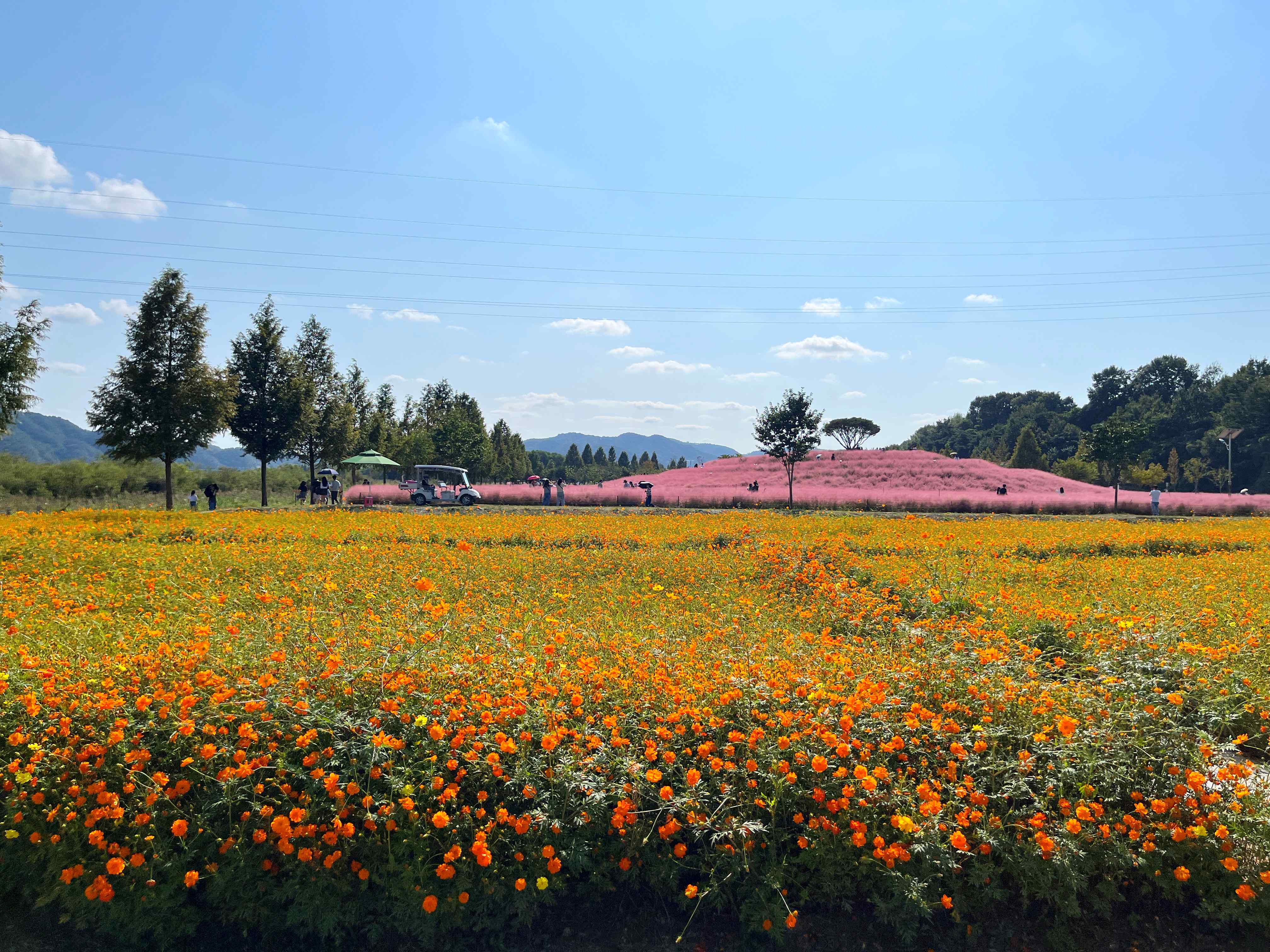 신소양체육공원