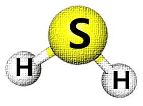황화수소(H₂S)