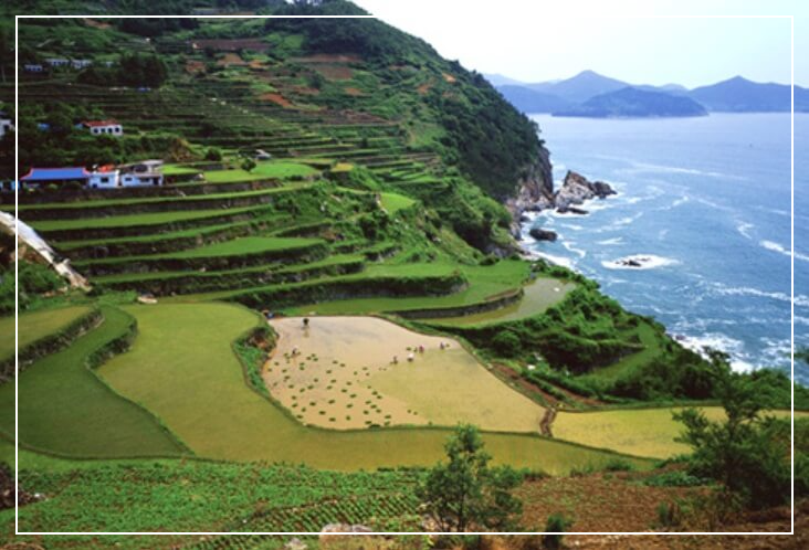 남해 가볼만한곳 베스트10 남해 바래길(다랭이지겟길)