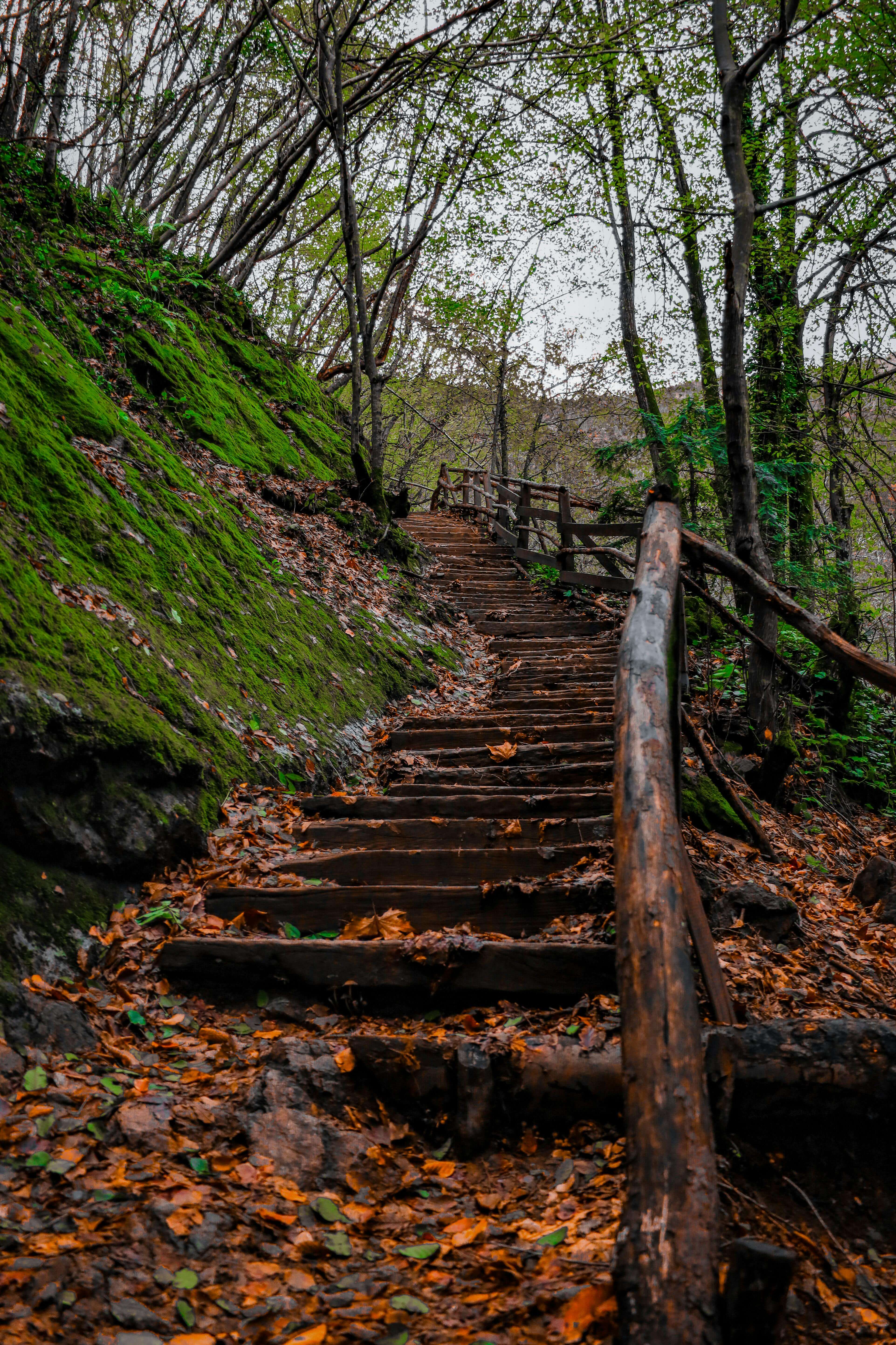 걷기 운동의 긍정적 방향(신체건강, 정신건강, 실천방법)