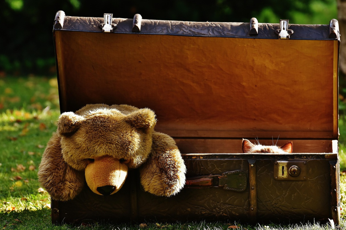 요즘 인기 mbti 관련사진