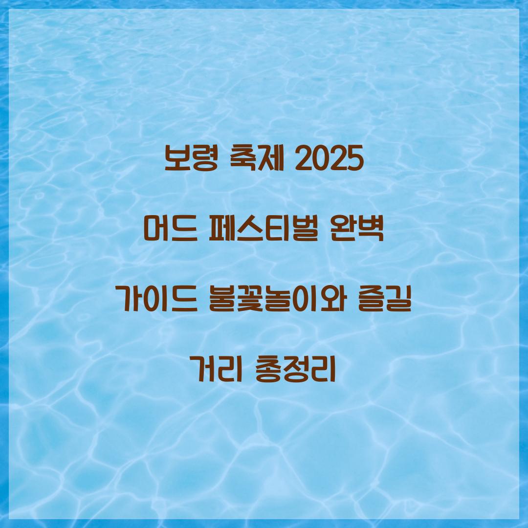 보령 축제 2025 머드 페스티벌