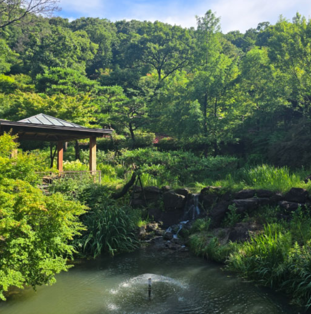 화담숲 예약