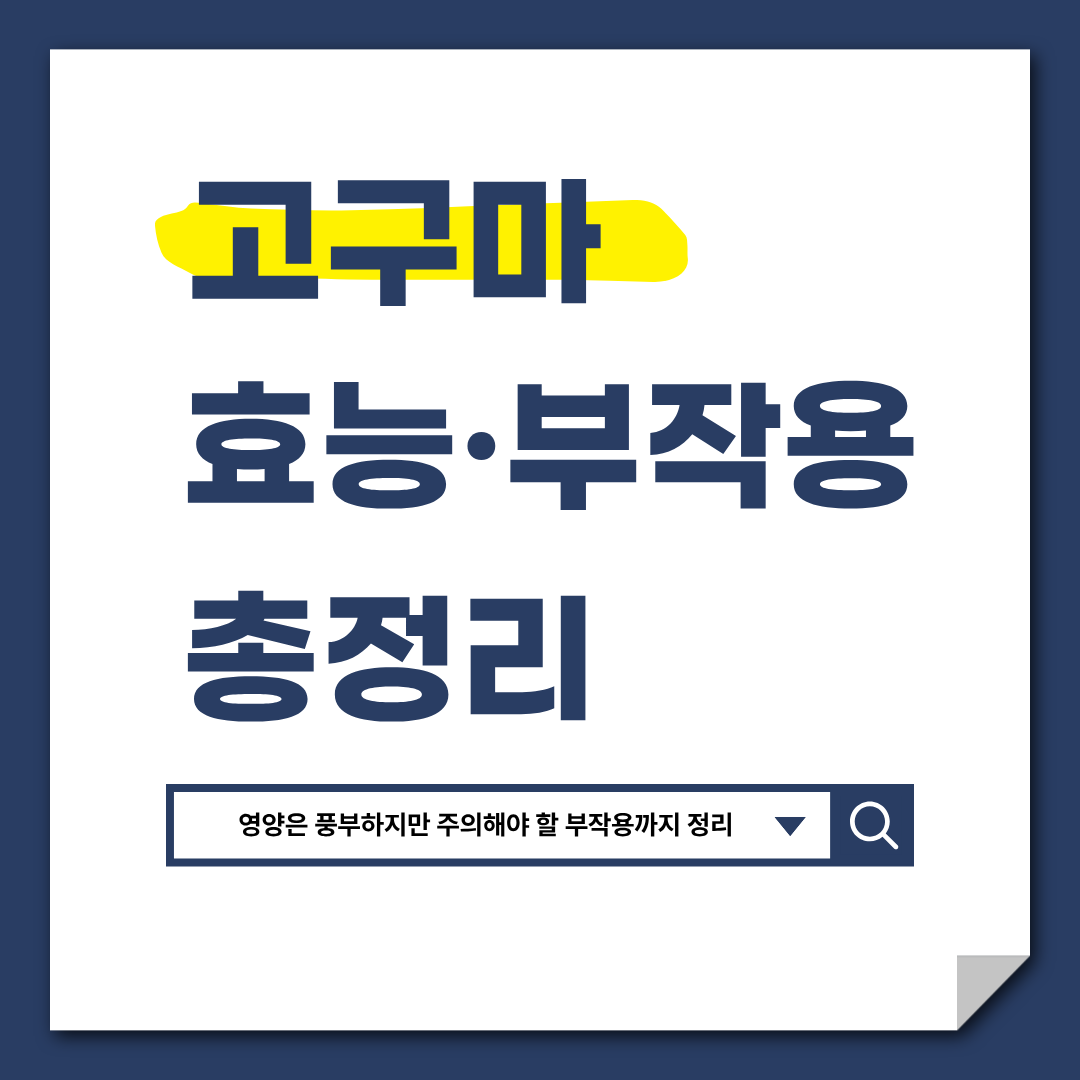 고구마 효능 부작용