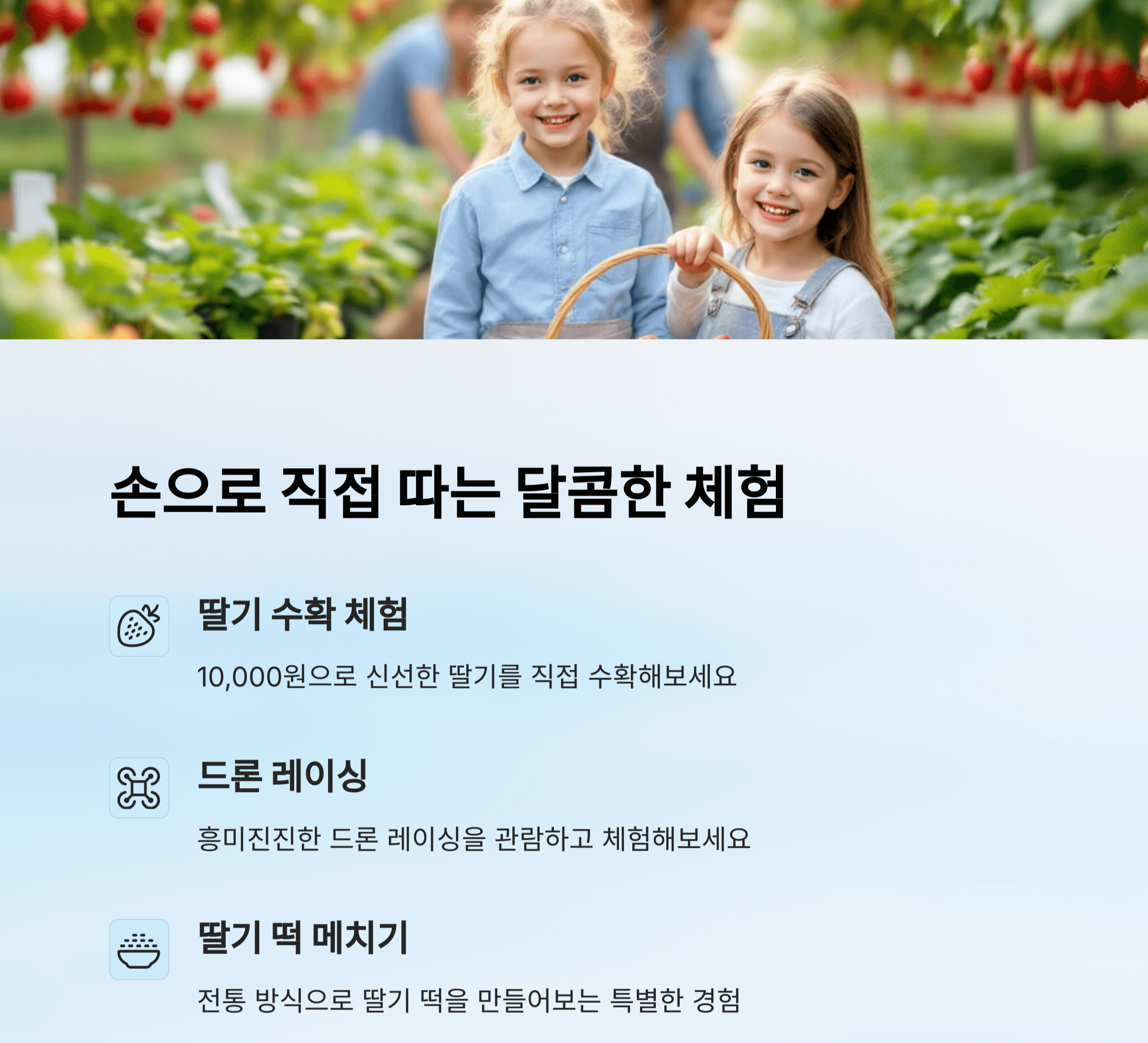 2025 논산딸기축제