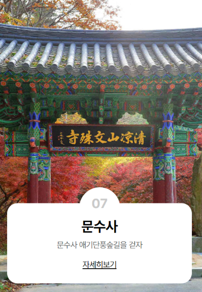 고창벚꽃축제