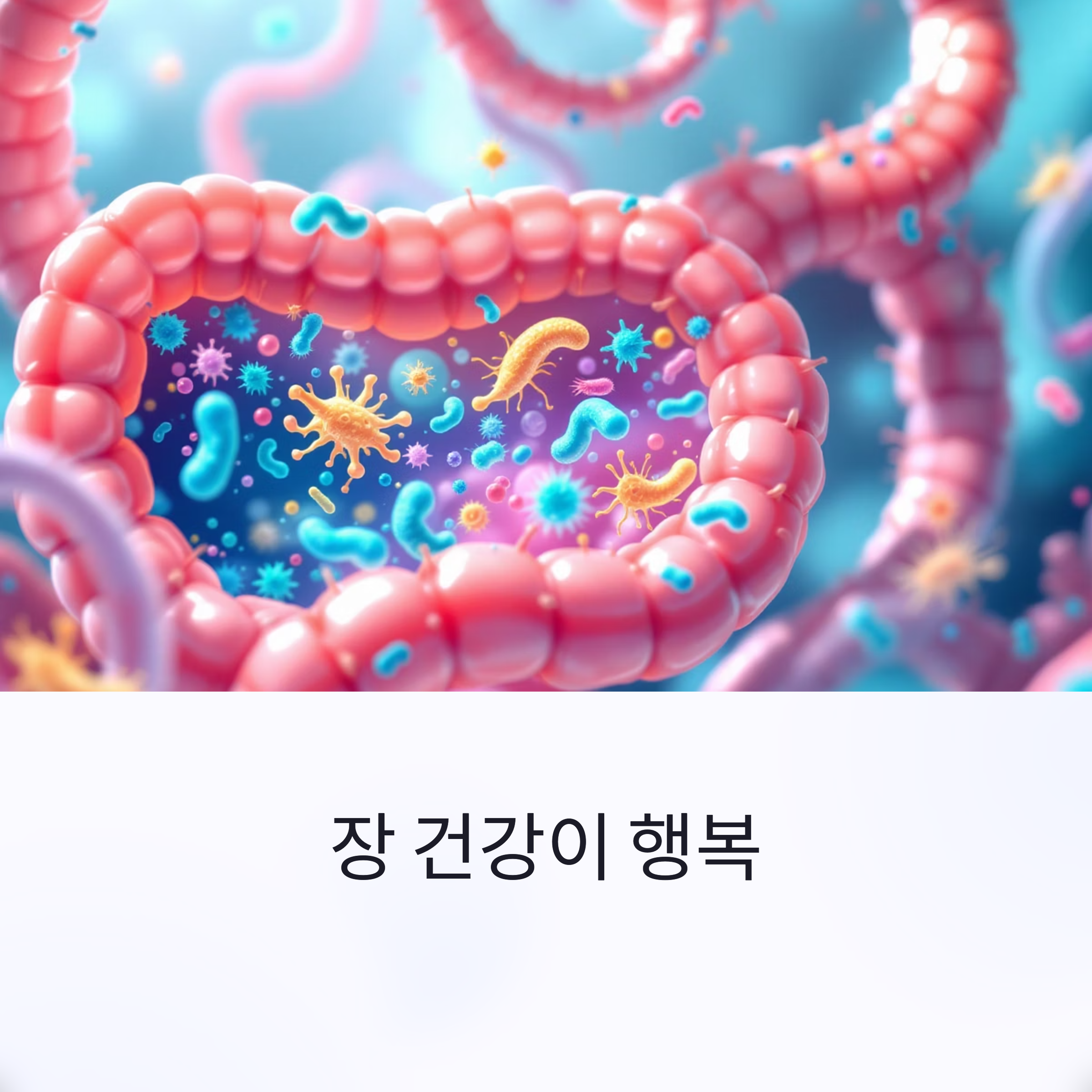 특급 솔루션